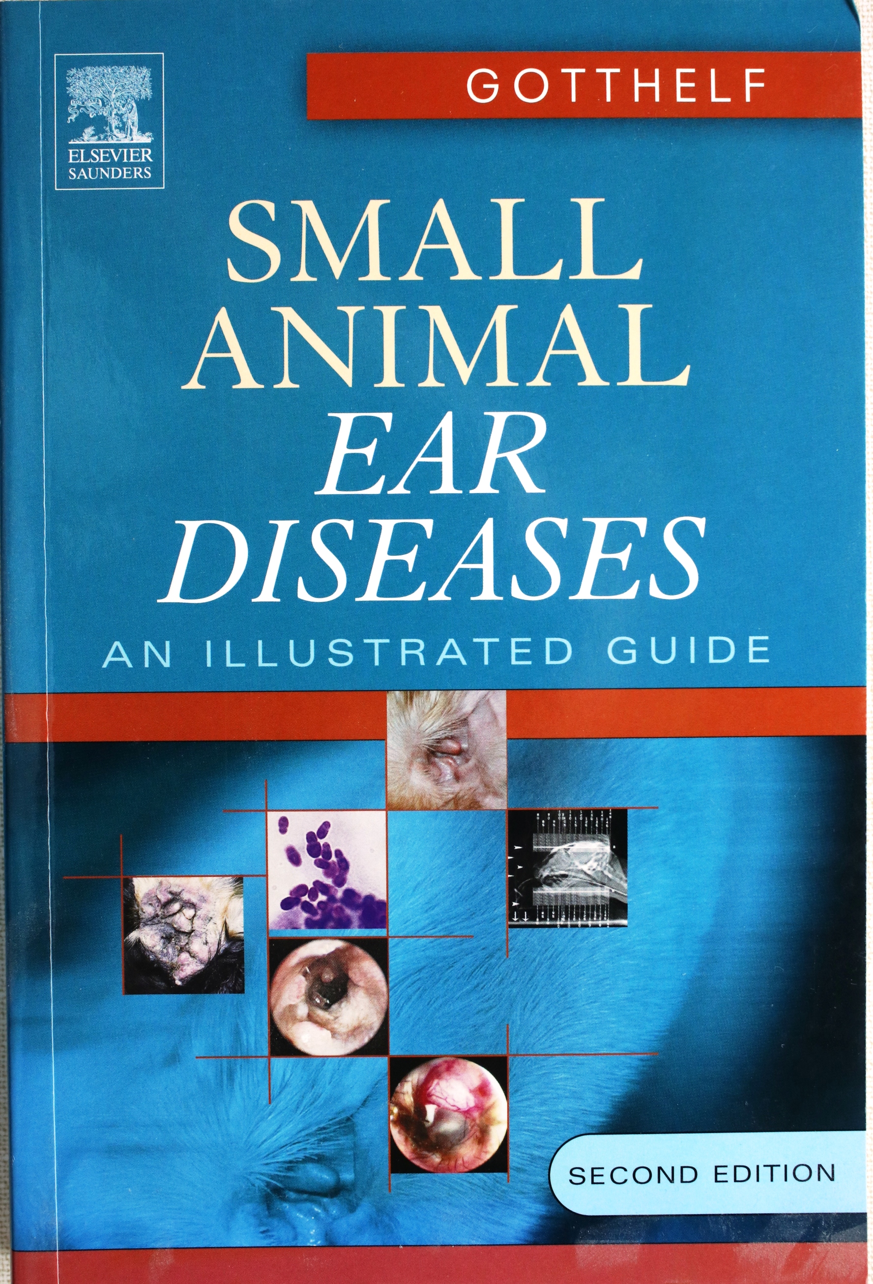ear disease book